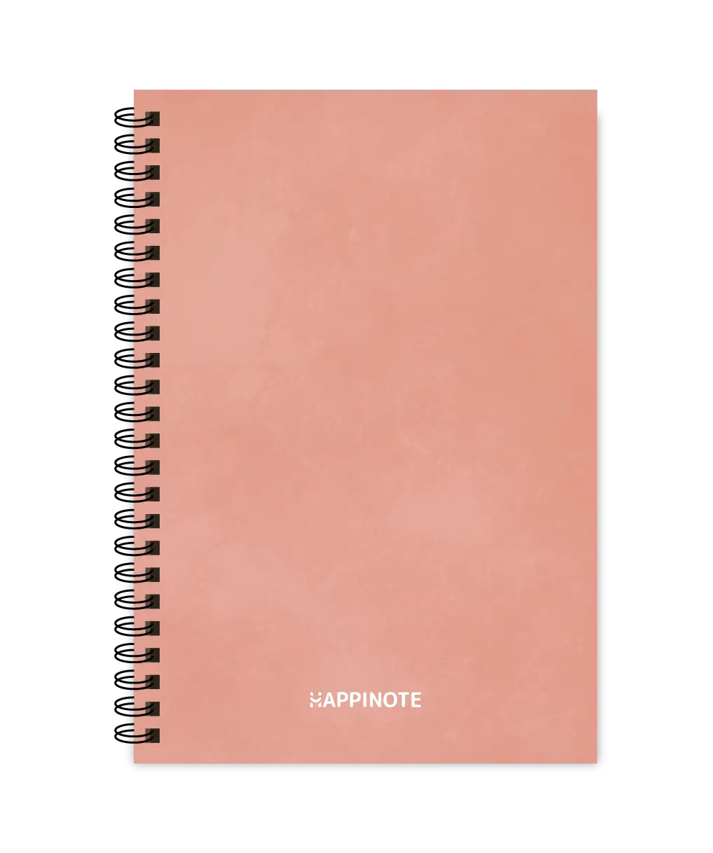 A5 Uitwisbaar notitieboek | Pink Desert