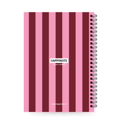 A5 Uitwisbaar notitieboek | Focus