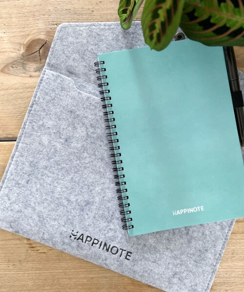 A5 Notebook Sleeve - Light gray