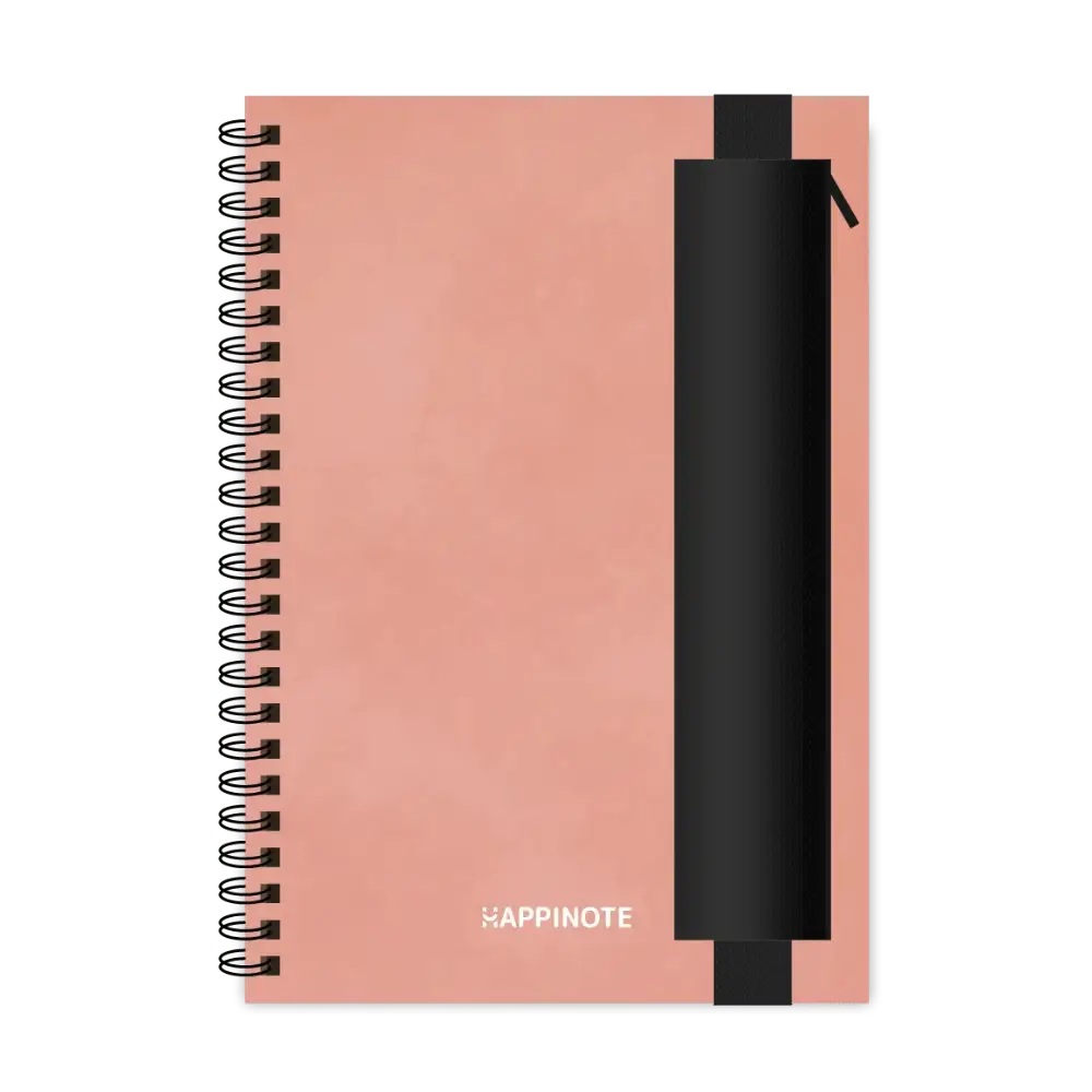 A5 Uitwisbaar notitieboek | Pink Desert met etui