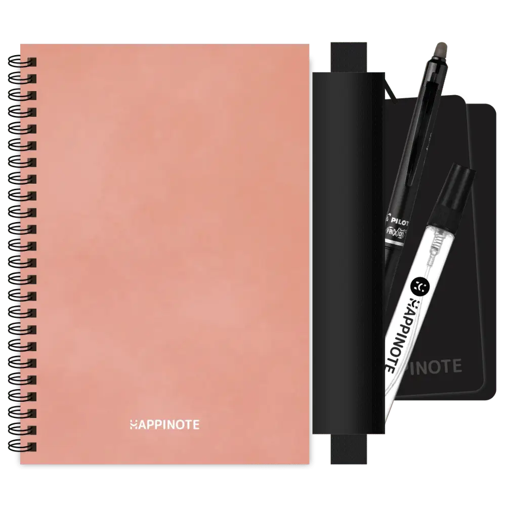 A5 Uitwisbaar notitieboek | Pink Desert met etui